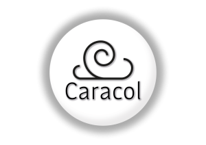 Team One Logo Team One Logo